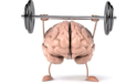 Beyin Egzersizleri